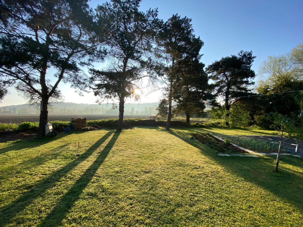 Domaine Du Tafiart Bed and Breakfast Sarron Εξωτερικό φωτογραφία