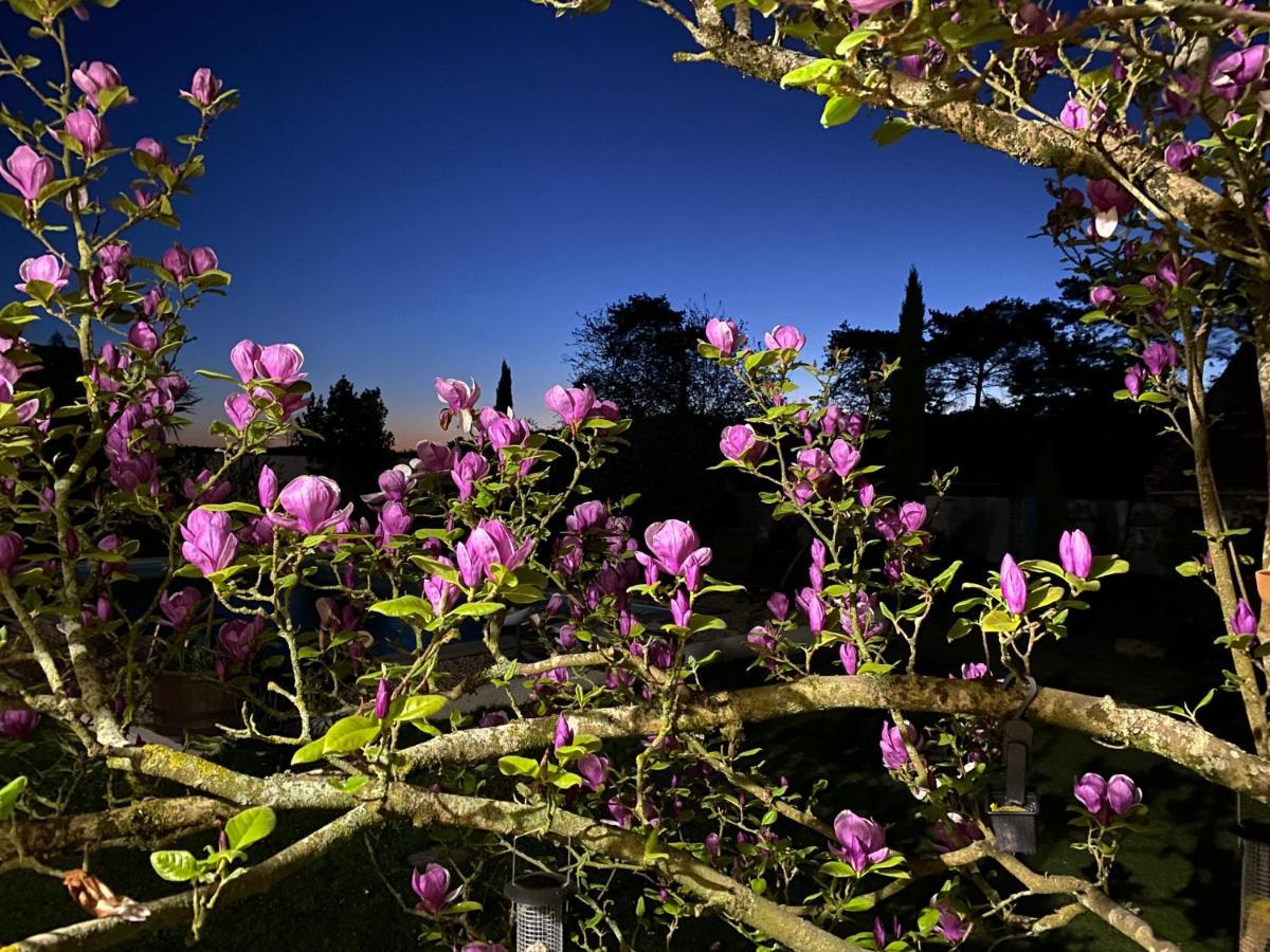 Domaine Du Tafiart Bed and Breakfast Sarron Εξωτερικό φωτογραφία